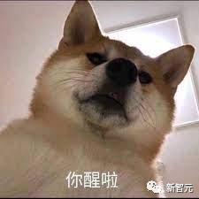 1690619445943.jpg Midjourney“搞怪”炸出!表情包生成器,马斯克变身公主|附教程