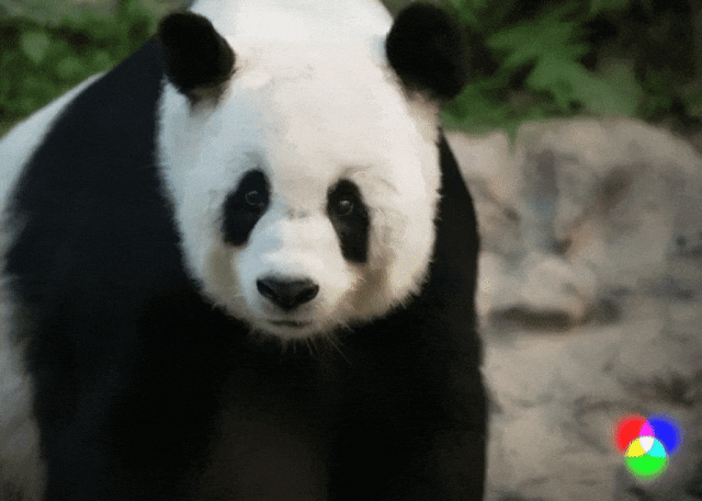 1690630396196.jpg 探索网络世界的奥秘:一名articlewriter的网络之旅