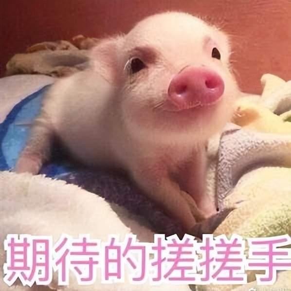 1690630396614.jpg 探索网络世界的奥秘:一名articlewriter的网络之旅