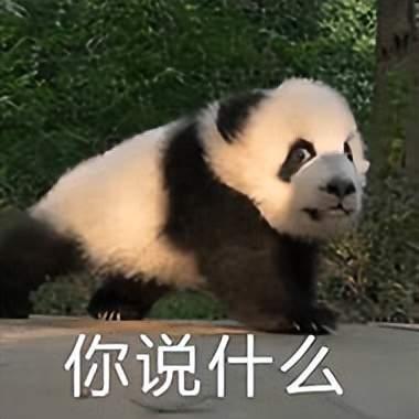 1690630410934.jpg 探索网络世界的奥秘:一名articlewriter的网络之旅