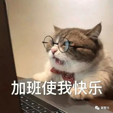 1697038401762.jpg OpenAI摊上事了!FTC要求公开更多信息