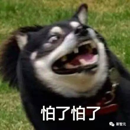 1697038402768.jpg OpenAI摊上事了!FTC要求公开更多信息