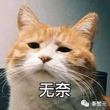 人文社科的崛起与LLM的力量