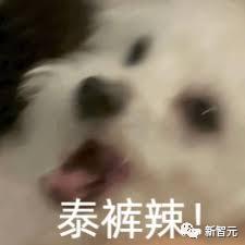 人文社科的崛起与LLM的力量