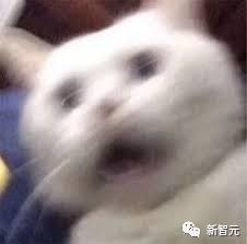 1697114091899.jpg GPT-4考90分全假!30年律师用ChatGPT打官司,6个虚假案例成笑柄新智元2023-05-28 14:10