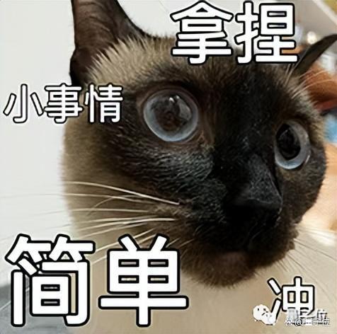 1697114169135.jpg 「法外狂徒」ChatGPT!30年老律师用它旁征博引,结果被禁止执业量子位2023-05-28 13:03北京