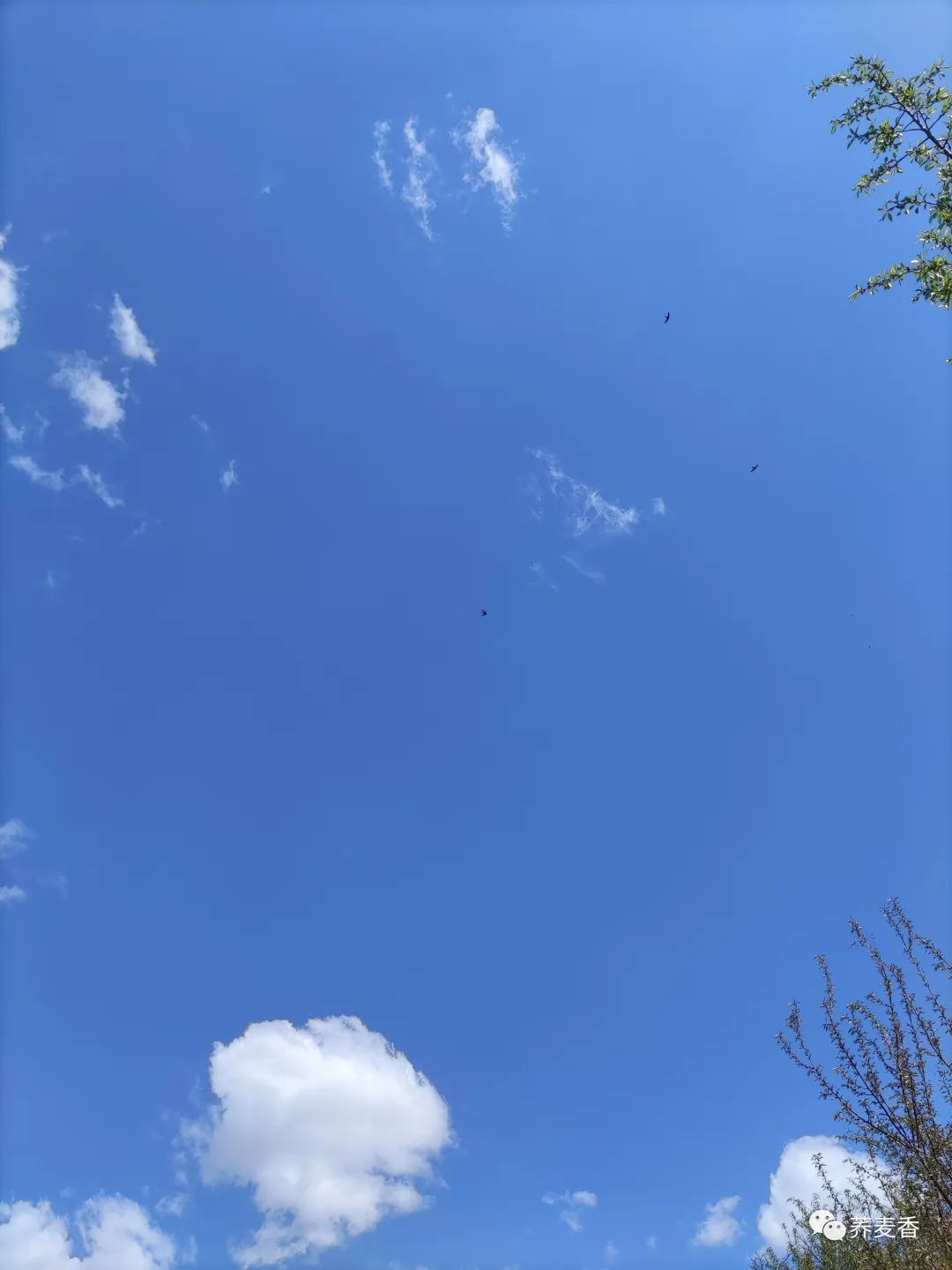 60岁再就业：如何成功找到合适的工作岗位