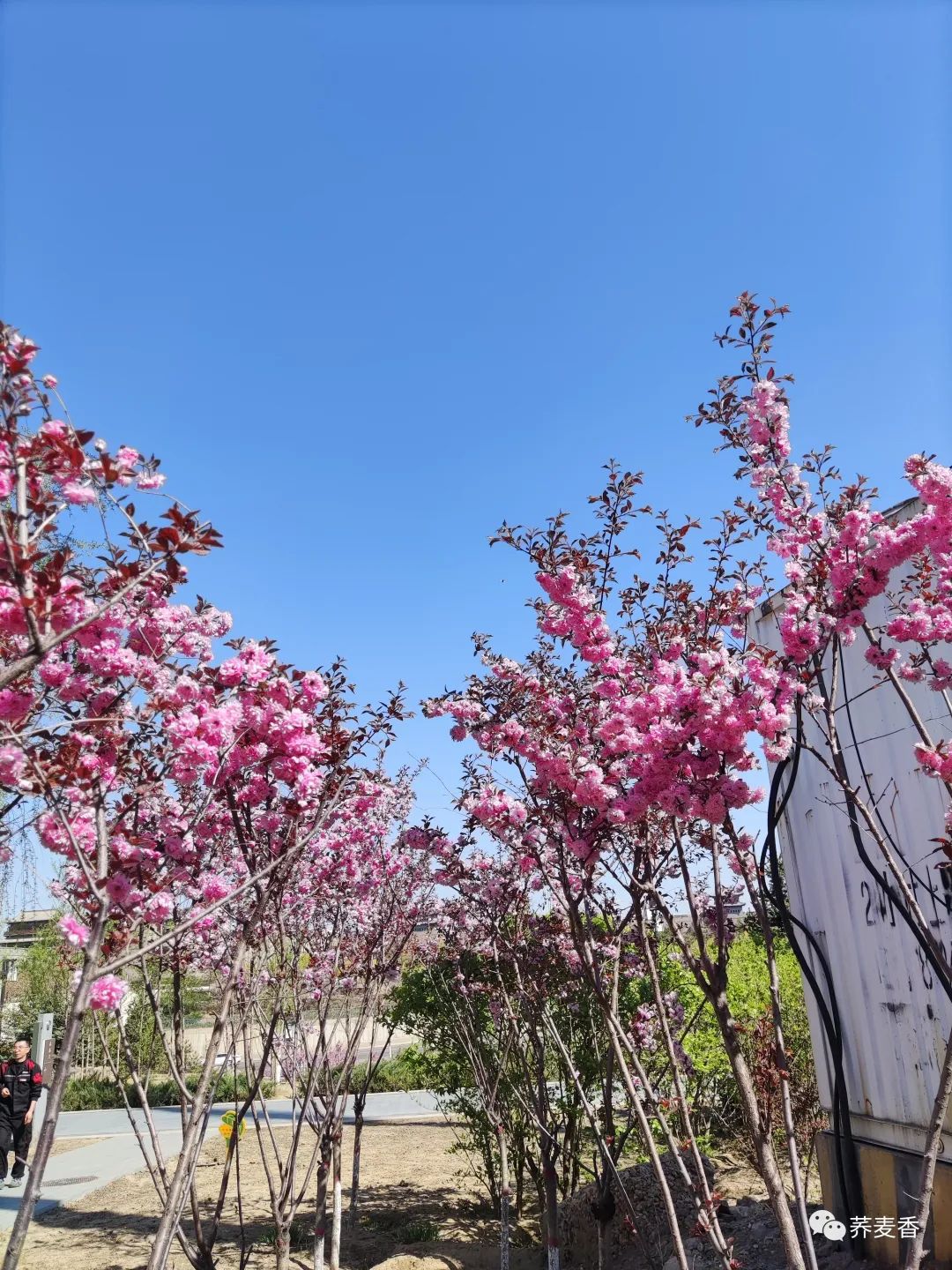 60岁再就业：如何成功找到合适的工作岗位