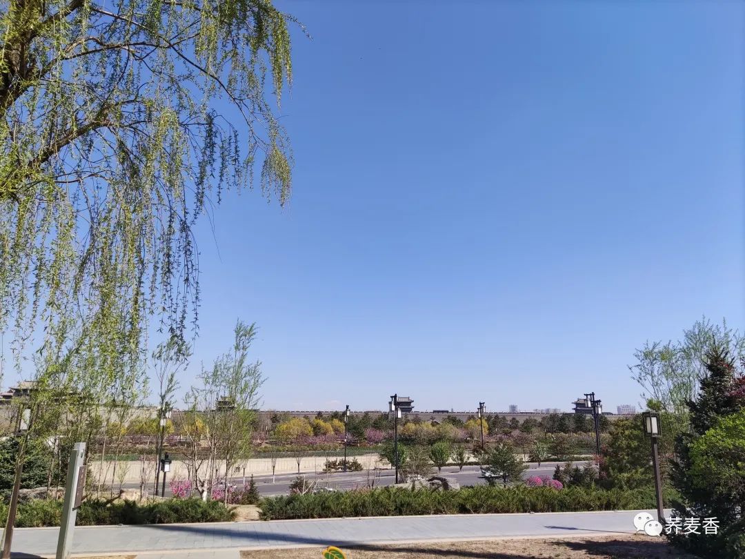 60岁再就业：如何成功找到合适的工作岗位