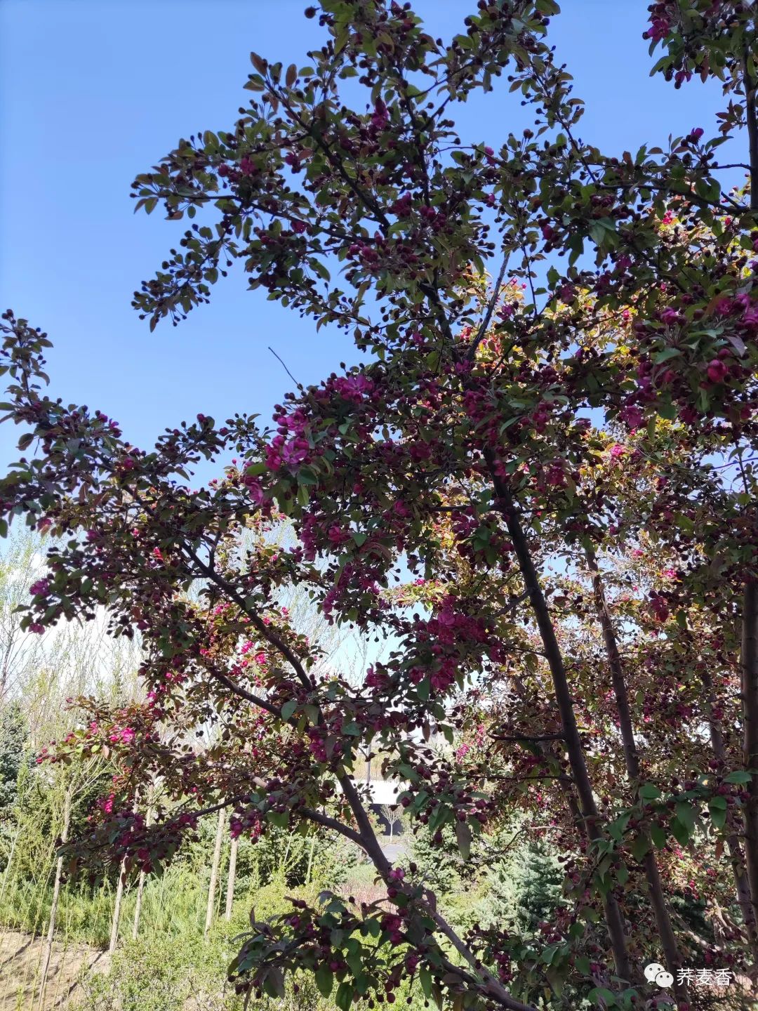 60岁再就业：如何成功找到合适的工作岗位