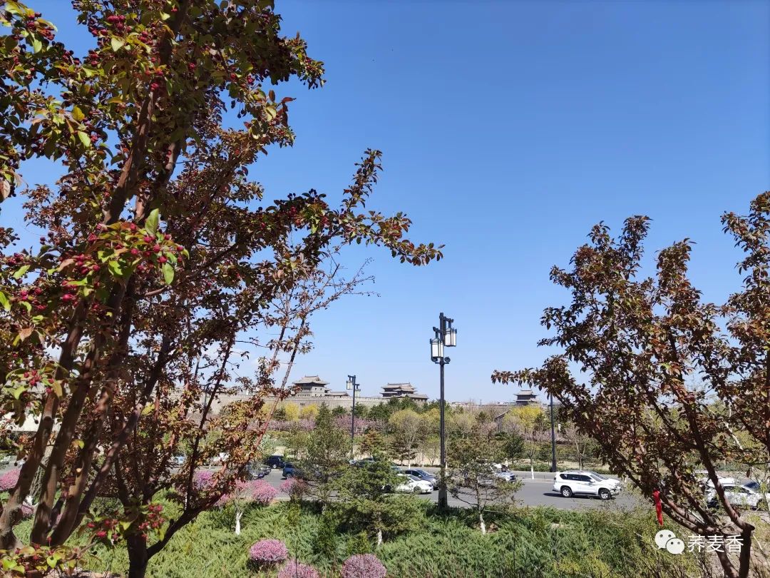 60岁再就业：如何成功找到合适的工作岗位