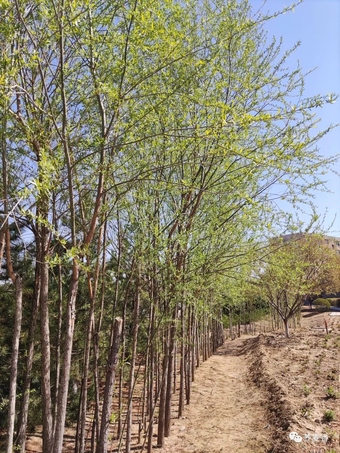 60岁再就业：如何成功找到合适的工作岗位