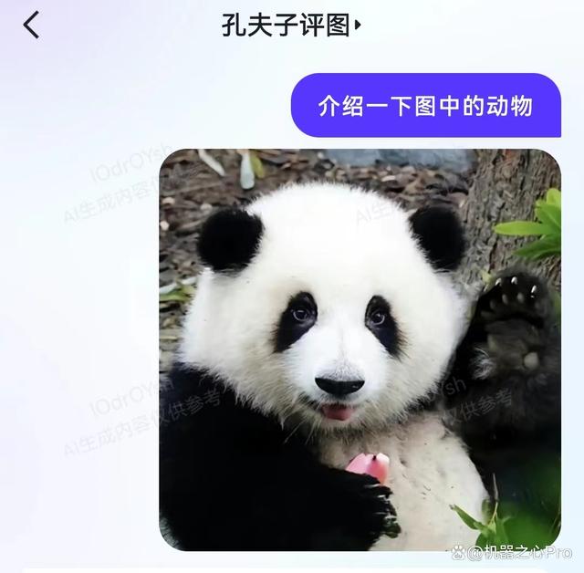 1706894196079.jpg AI对话原生应用新纪元:文心一言App国内首发