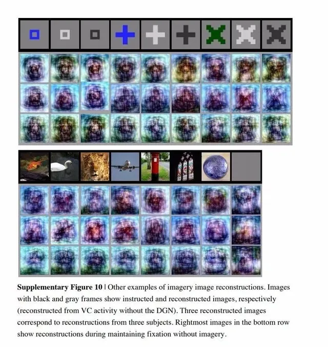 1712332886554.jpg AI解码大脑,visualizationofimagesandthoughtspossiblewithnewdeepneuralnetworktechnolo