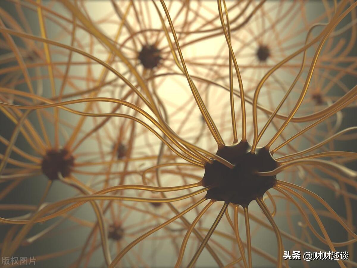 1715551971992.jpg AI能有自我意识和情感吗?探索感知与意识的科技边界