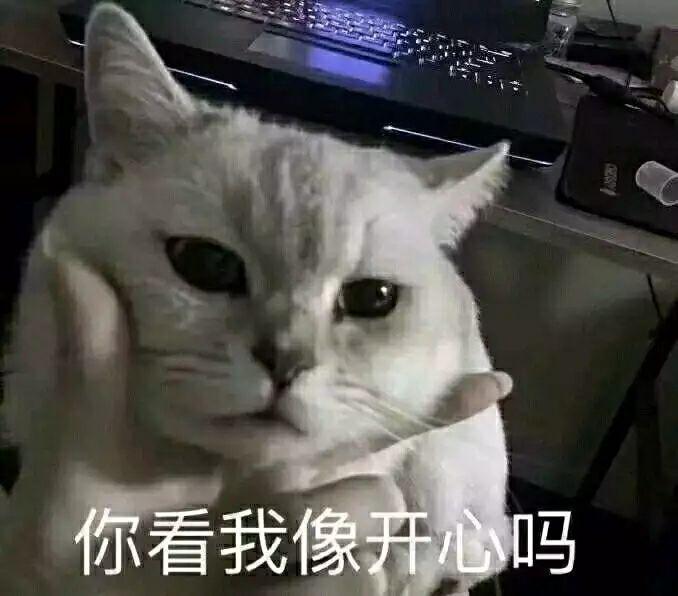 1715724196830.jpg 陪伴型AI的玩法大揭秘!女生视角下的AI需求与五大玩转方式,你get了吗?🤔恋爱新体验,满足你的所