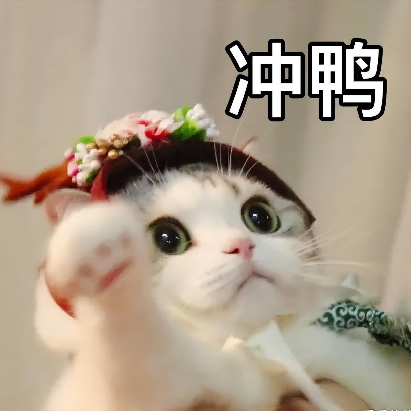 1717247245058.jpg 多模态GPT-4o来了:Z世代开始赛博恋爱?