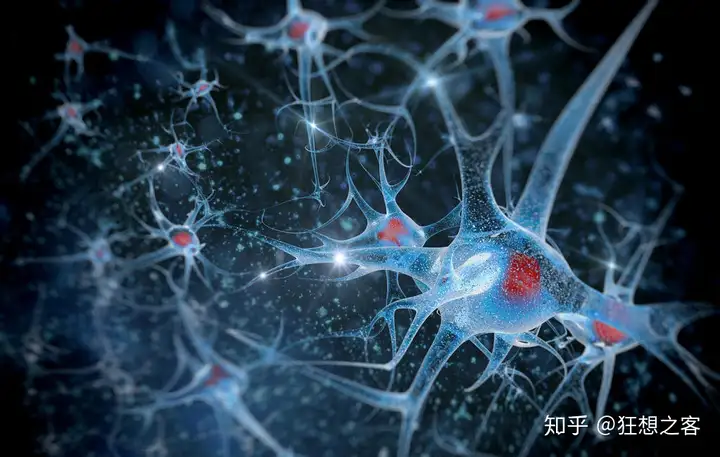 1717403008644.jpg 机器人会有情感吗?大脑和神经系统的秘密,以及AI的情感未来探索…