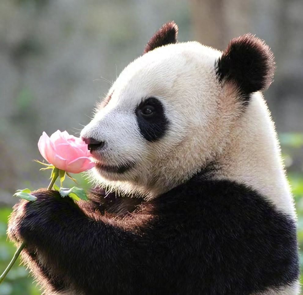 1734944273051.jpg 价值3888元的AI绘画指令,常用关键词,学会了你也能赚钱!