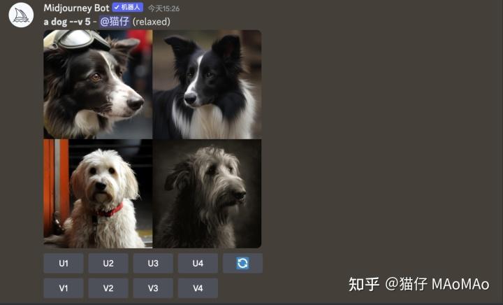 1684044503814.jpeg 「掌握Midjourney,高效创作新时代!一步步迈向AI图像天堂」
