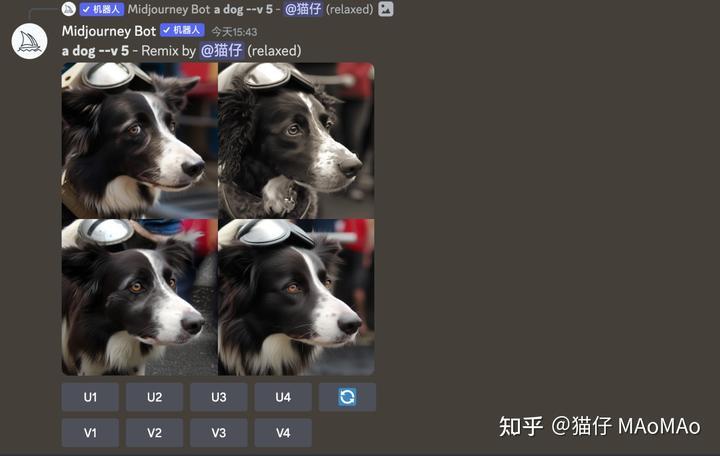 1684044505048.jpeg 「掌握Midjourney,高效创作新时代!一步步迈向AI图像天堂」