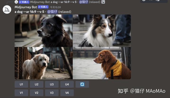 1684044506170.jpeg 「掌握Midjourney,高效创作新时代!一步步迈向AI图像天堂」