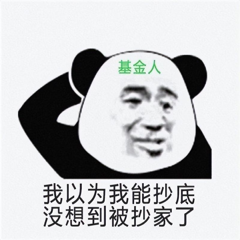 1684193863416.jpeg 500%回报率?史上最强基金经理ChatGPT造!