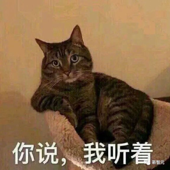 1685134301667.jpeg Windows11大翻转!一打开AI助手全家桶,你的PC交互彻底变了…