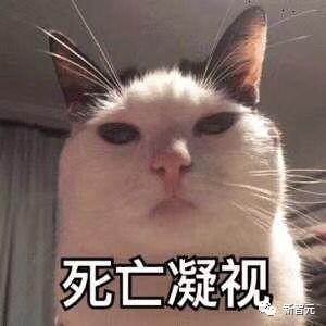1685717652645.jpeg CharacterAI:前GoogleLaMDA团队新宠,短短一周下载量碾压ChatGPT,AI世
