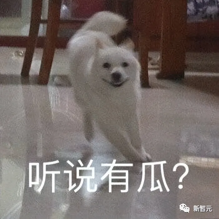 1686184803140.webp 揭秘ChatGPT大亨:马斯克密友SamAltman的科技与情感传奇