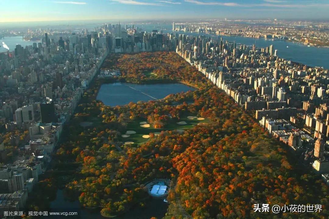 1686212815399.jpeg 迷失在纽约的光与影中,我是如何找寻希望与自我?