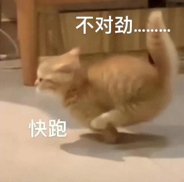 1686214718129.jpeg ChatGPT,是进步还是灾难?