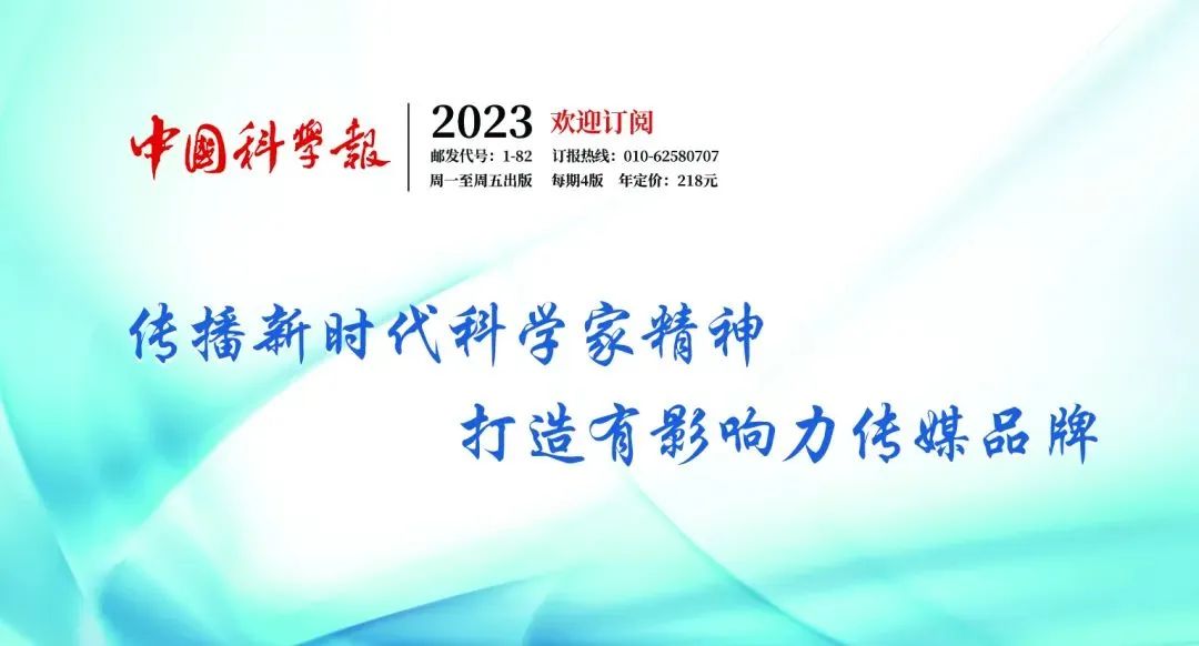 《小野鸟》让你感动吗？当心ChatGPT重塑人类情感