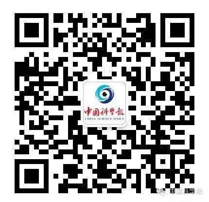 《小野鸟》让你感动吗？当心ChatGPT重塑人类情感