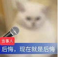 1686988078732.png 律师新挑战?ChatGPT引发伦理与效率之争:AI辩护状,真的行吗?
