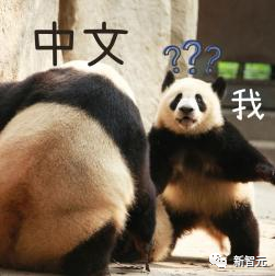 1687430220171.png 奇思妙想探秘:AI与人类才艺大比拼