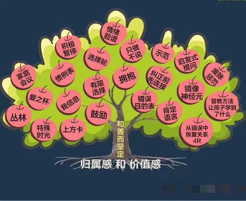 1688627036197.jpeg 全方位提升孩子能力的六种方法