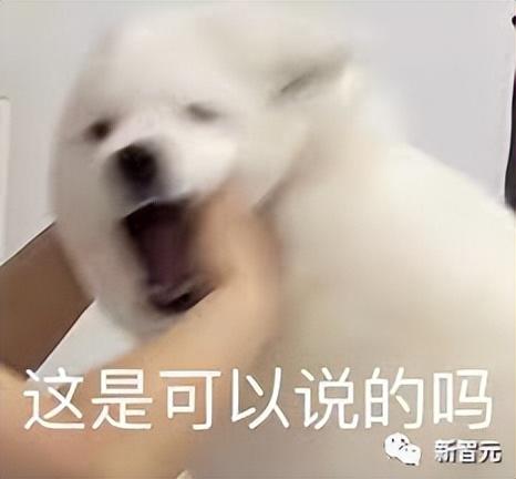 1688637164587.jpeg 技术宅小哥调教ChatGPT酱,惹三次元女友暴走,含泪删库