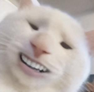 1688857207550.jpeg 光影之间的城市故事