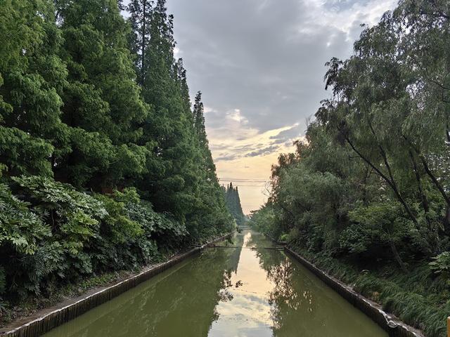 1689259692913.jpeg 七夕会 养育|做些让ChatGPT猜不到的事
